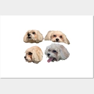 Shihpoo Posters and Art